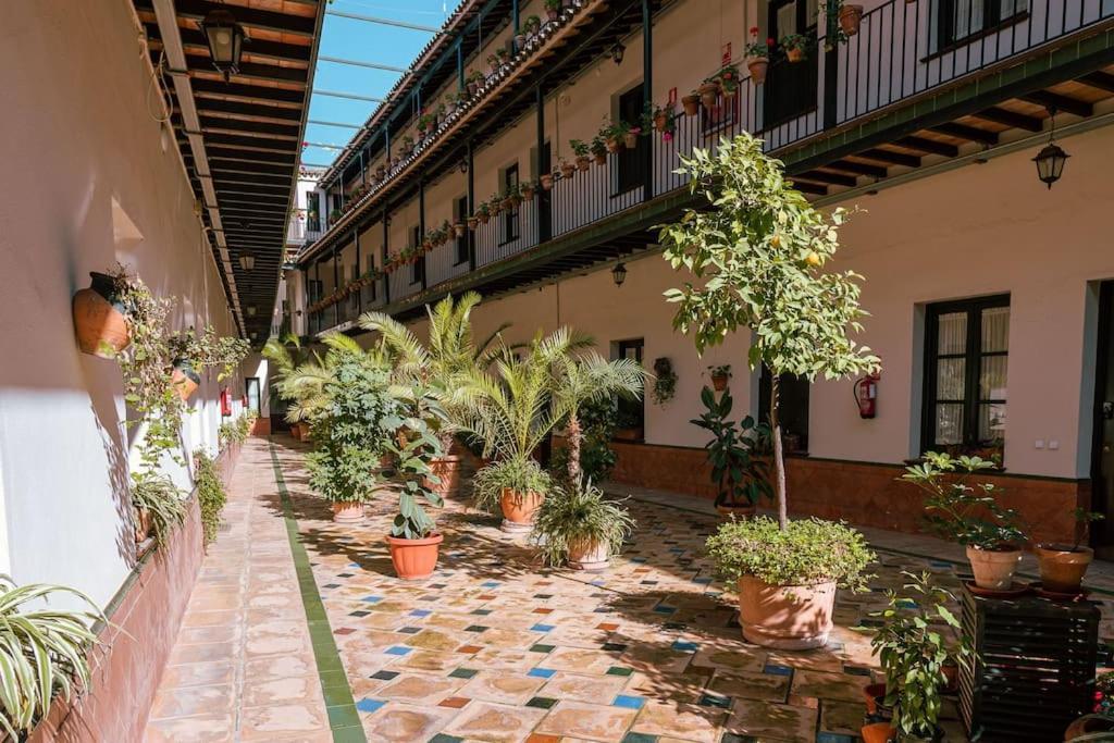 Apartamento Con Encanto En Patio Sevillano Zewnętrze zdjęcie